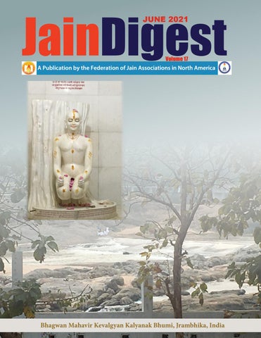 Kashaya_(Jainism)