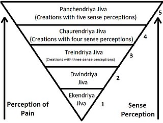 Jain_vegetarianism