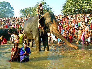 Sonepur_Cattle_Fair